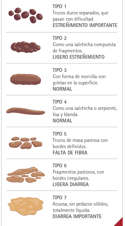 Escala de Bristol